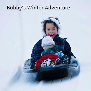 Swartzentruber-Stalford Sample Wedding Coffee Table Book (10x8) Bobby's Winter Adventure