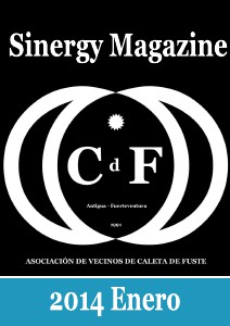 Sinergy Magazine Enero 2014