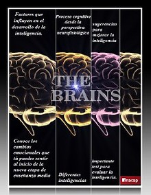 Revista de Inteligencia