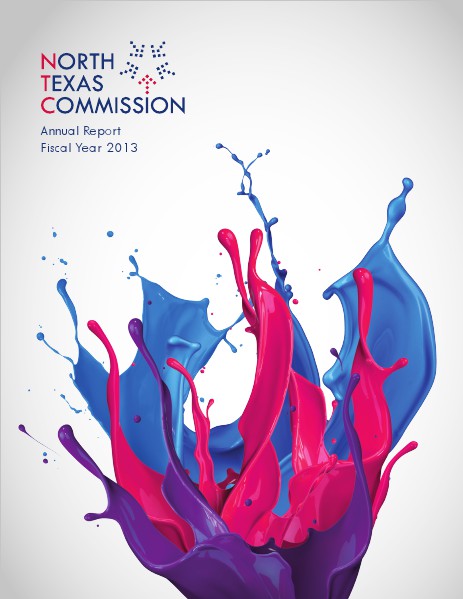 2013 Annual Report