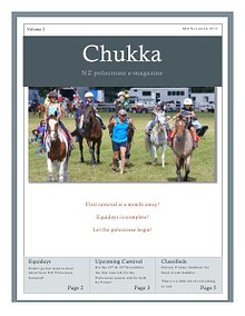 NZ Polocrosse News 