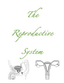 Reproductive Systems