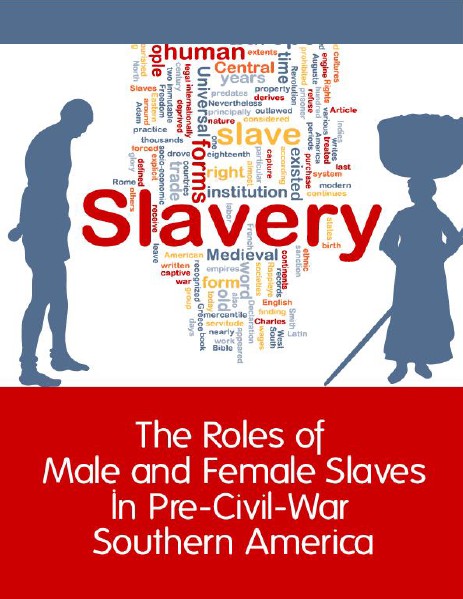 Slavery in Pre-Civil War Southern America May, 2014