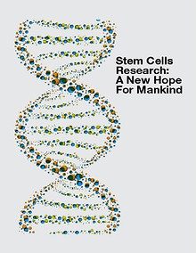 Stem Cells