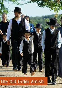 The Old Order Amish