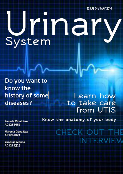 Urinary System May 2014