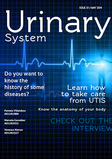 Urinary System