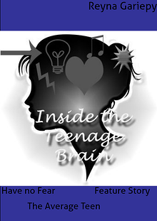 The Teenage Brain