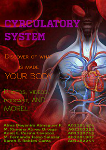 Circulatory System