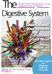 The Digestive system