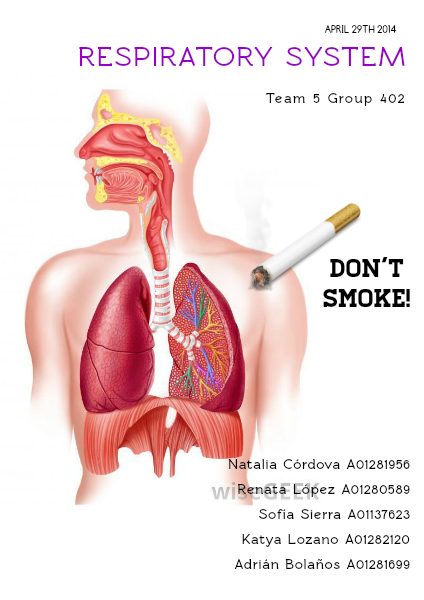 RESPIRATORY SYSTEM (1, 2014)