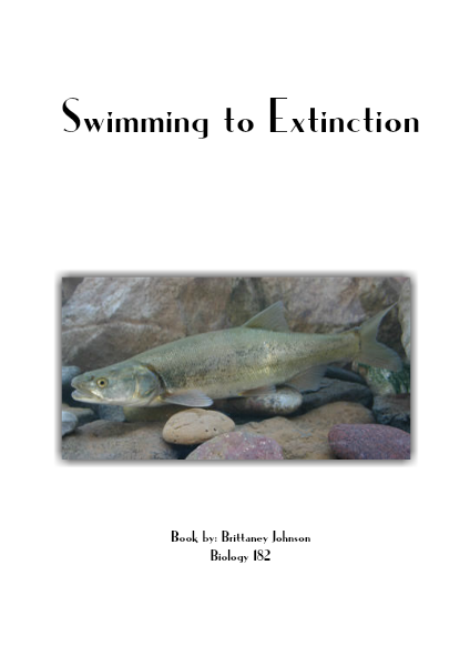 Swimming to Extinction May 2014