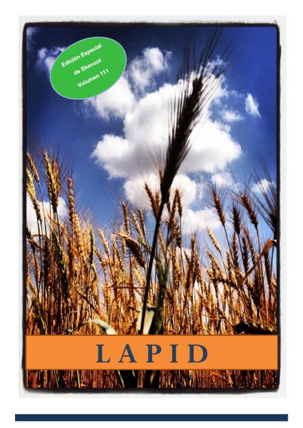 Lapid Volumen #111, Mayo 2014