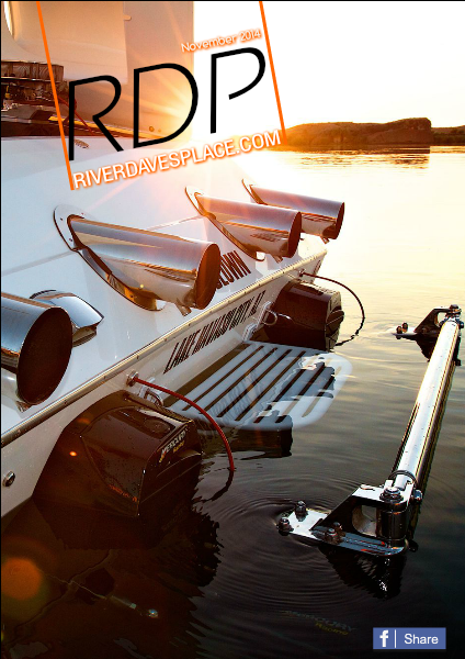 RDP November 2014