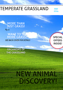 Temperate Grassland