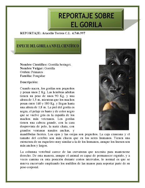 REPORTAJE SOBRE EL GORILA