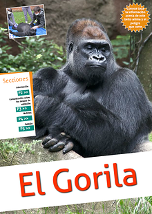 El gorila