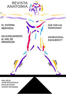 ANATOMIA HOMEOSTASIS