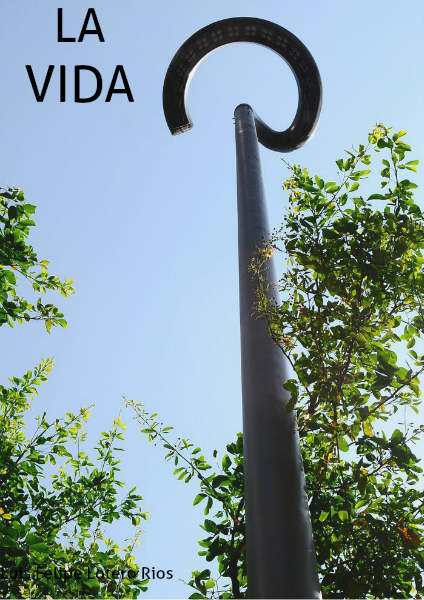 La Vida 1