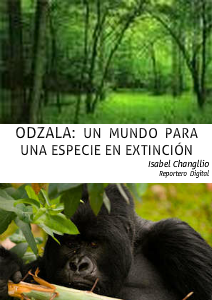 Odzala: un mundo para un especie en extinción Octubre 2012