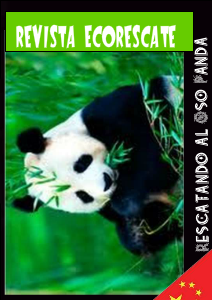 Revista EcoRescate 2