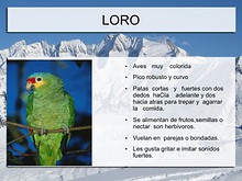 Enciclopedia de Animales