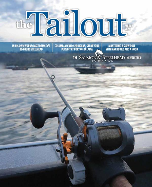 the Tailout March 2021