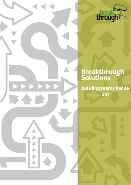 Breakthrough Solutions Volume I