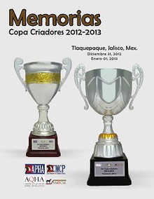 Memorias Copa Criadores