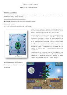 Ciencias Naturales tema 1