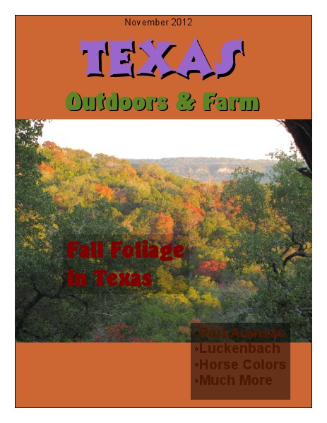 Southwest Highways Texas Outdoors & Farm November 2012