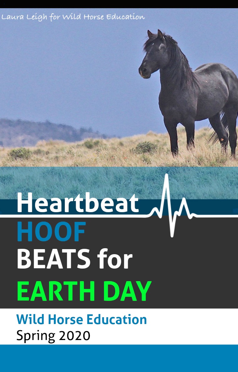 WHE Heartbeat spring/2020 WHE EARTH DAY HEARTBEAT/HOOFBEAT