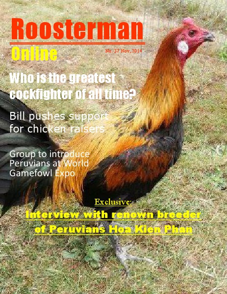 Roosterman 37