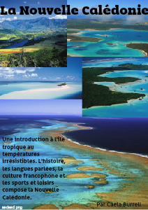 La Nouvelle Caledonie 1er Edition