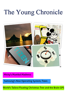 The Young Chronicle: For 2nd Graders