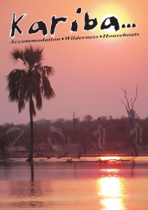 Kariba Supplement 2011 DI#1