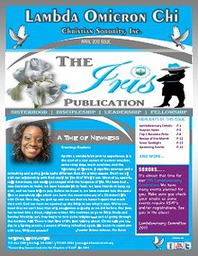 The IRIS Publication