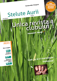 Revista SteluteAurii