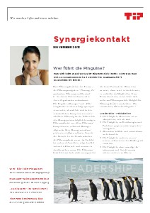 Synergiekontakt November 2013