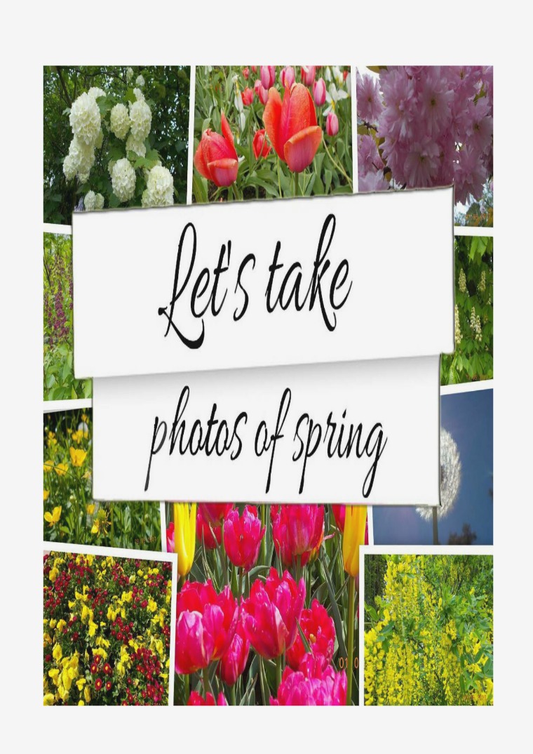 Let's Take Photos Of Spring Let's take photos of spring