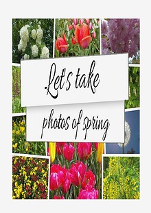 Let's Take Photos Of Spring