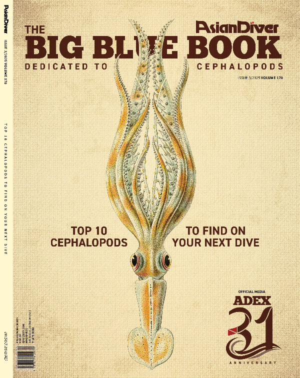 Issue 170