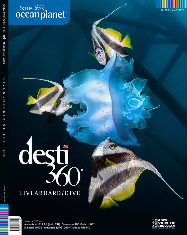 Issue 133