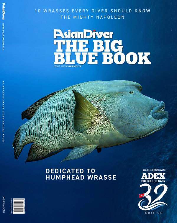 Issue 173