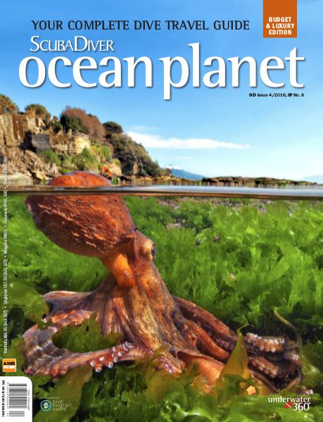 Issue 04/2016