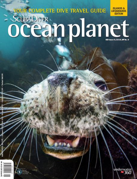 Issue 06/2016