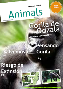 Animals febrero.2013