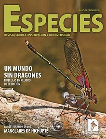 Especies 2-17 jul-sep