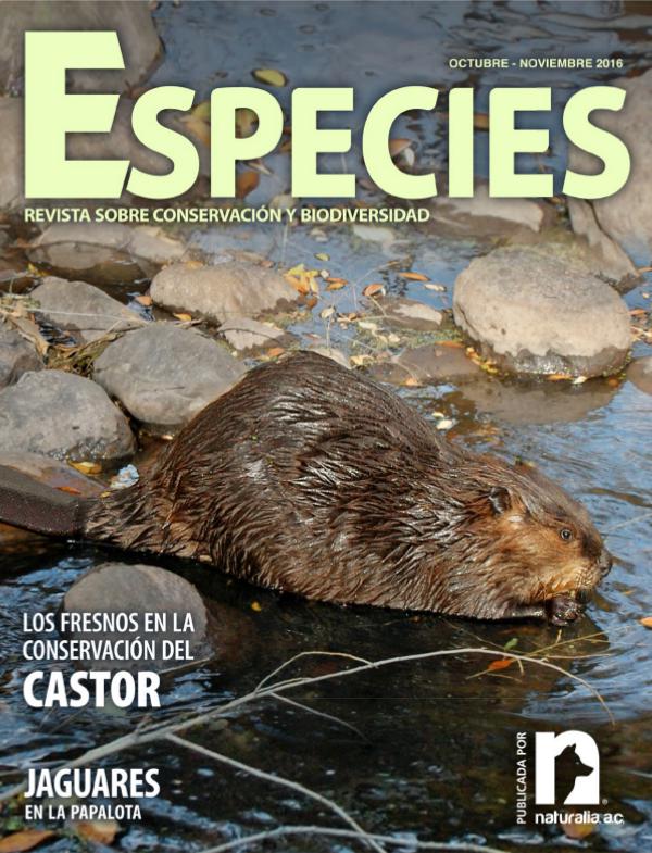 Especies 3-16 oct-nov octubre-noviembre