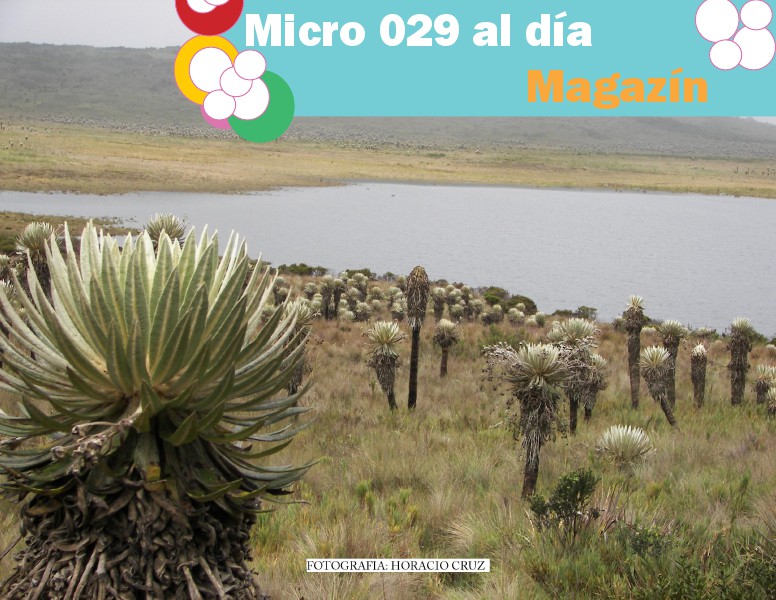 MIcro 029 al dia Magazin marzo marzo